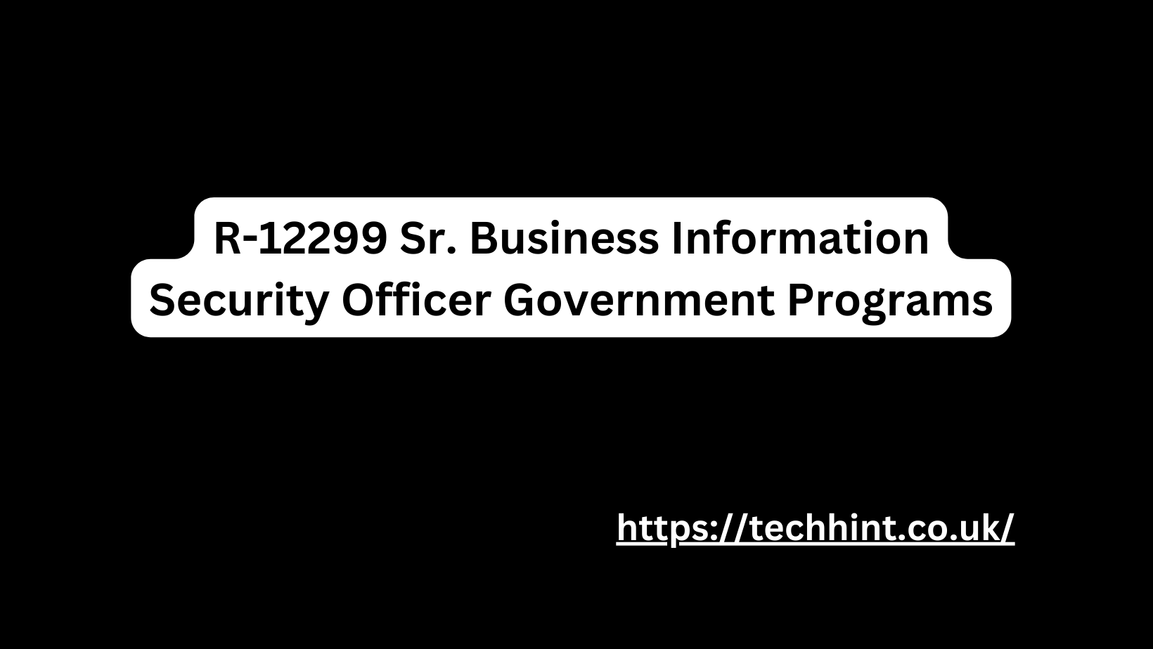 R-12299 Sr. Business Information Security Officer Government Programs