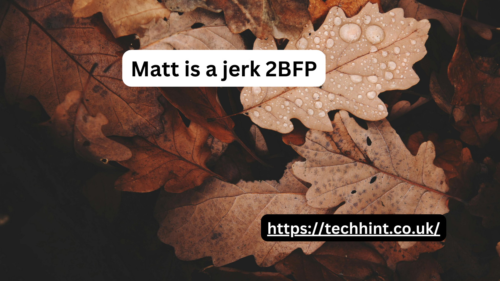 Matt is a jerk 2BFP